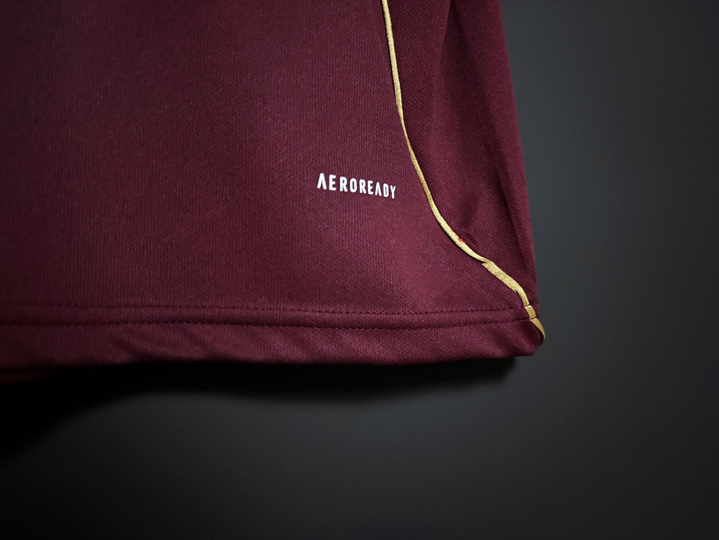 Aston Villa 25/26 Jersey (Home)