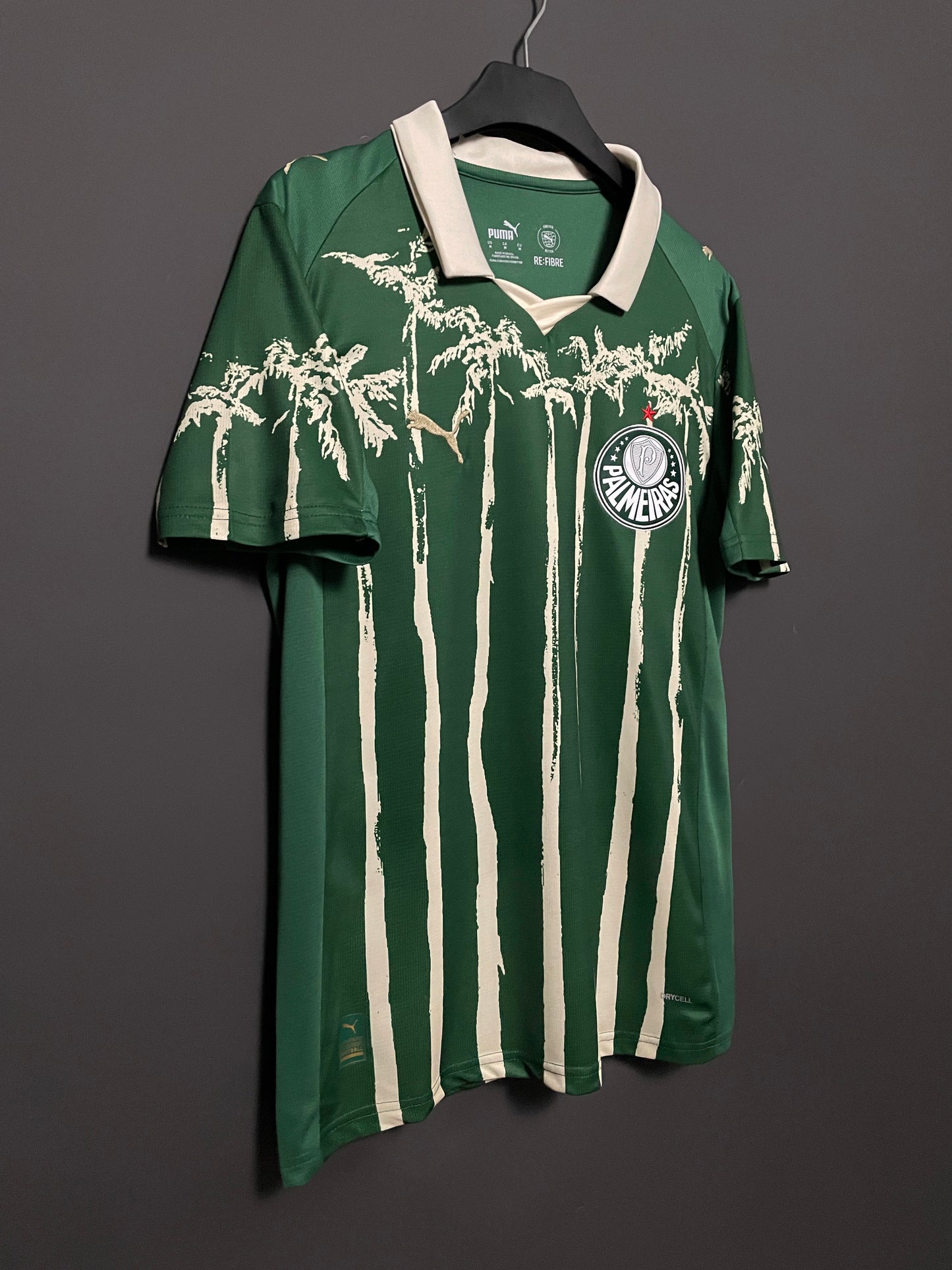Palmeiras 25/26 Jersey (Special Edition)