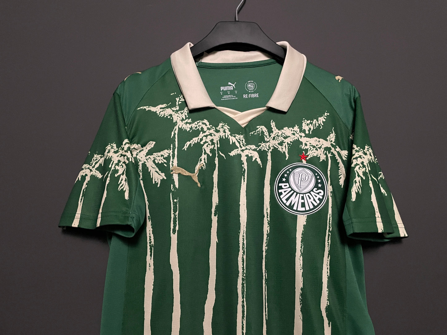 Palmeiras 25/26 Jersey (Special Edition)