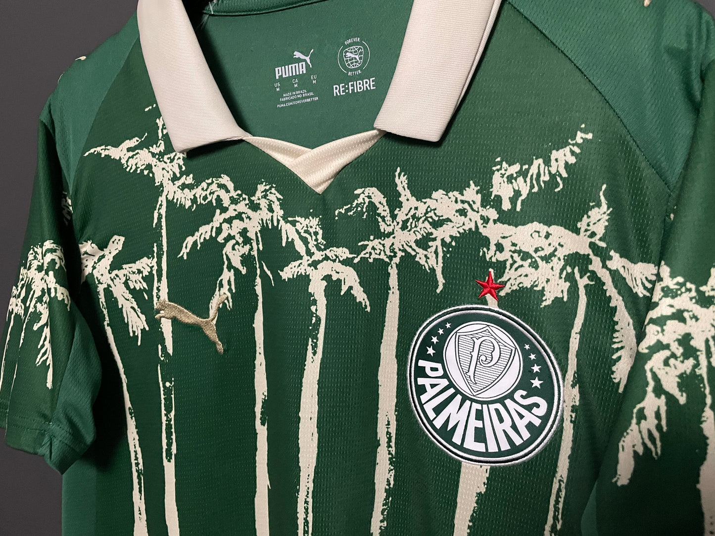 Palmeiras 25/26 Jersey (Special Edition)