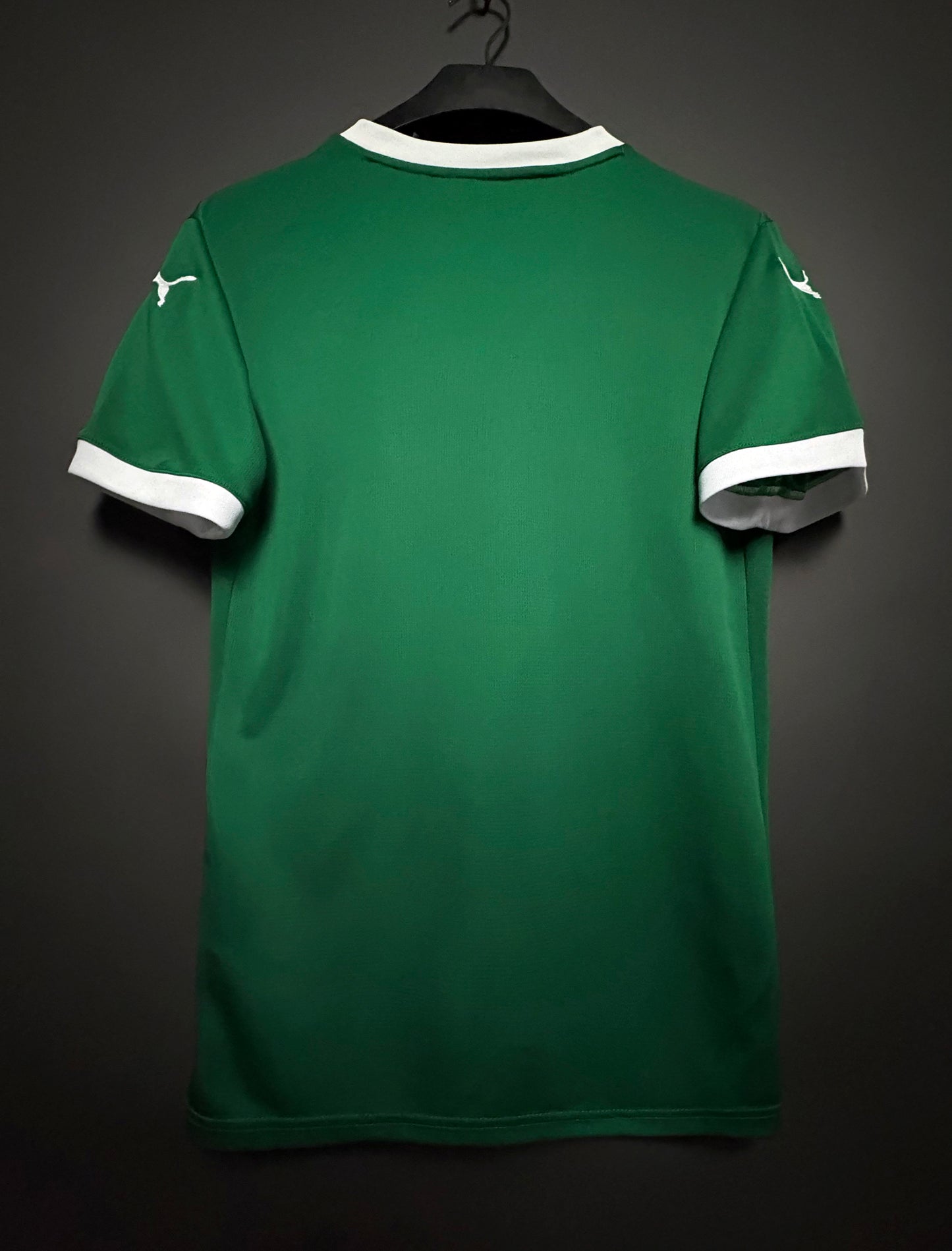 Palmeiras 25/26 Jersey (Home)