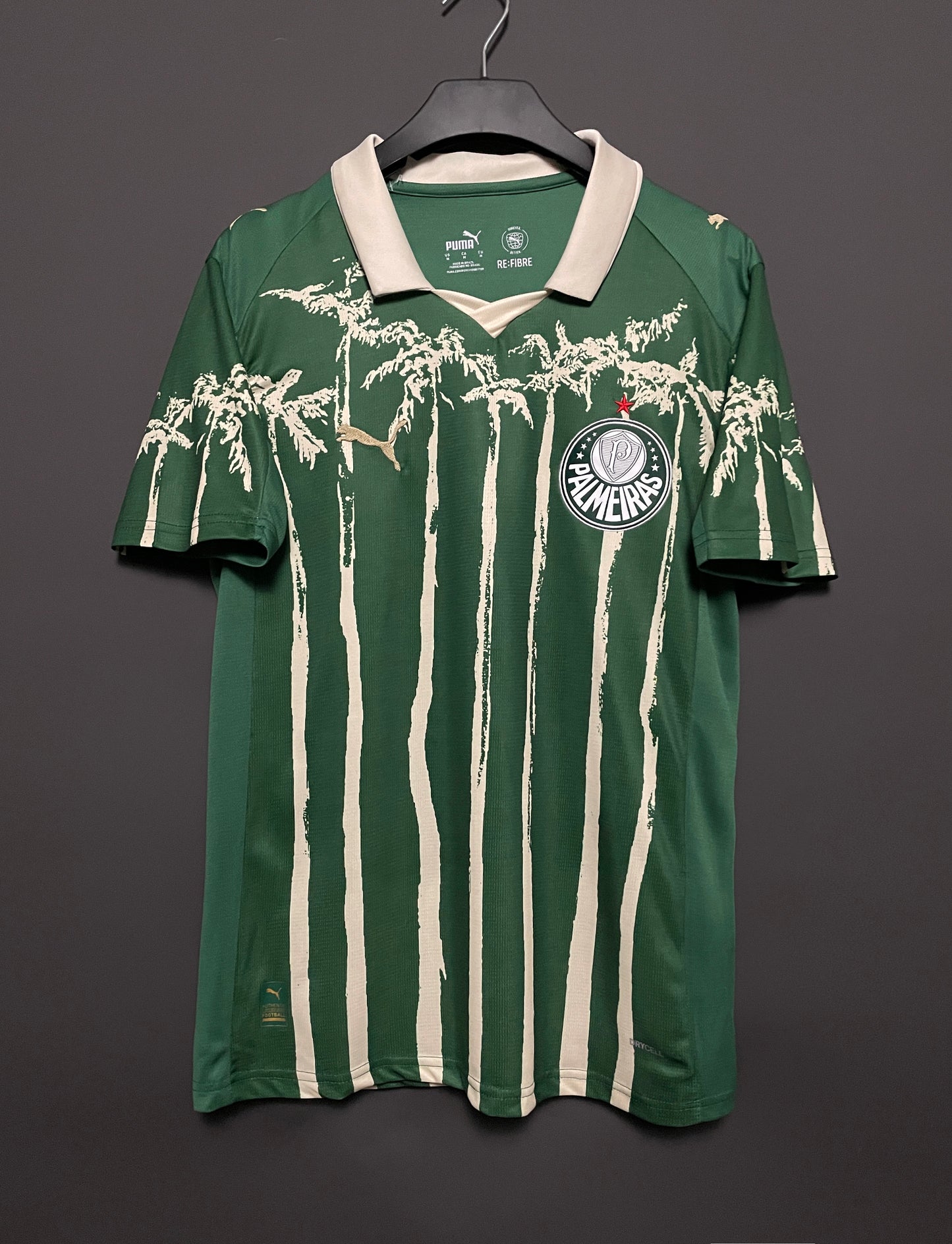 Palmeiras 25/26 Jersey (Special Edition)