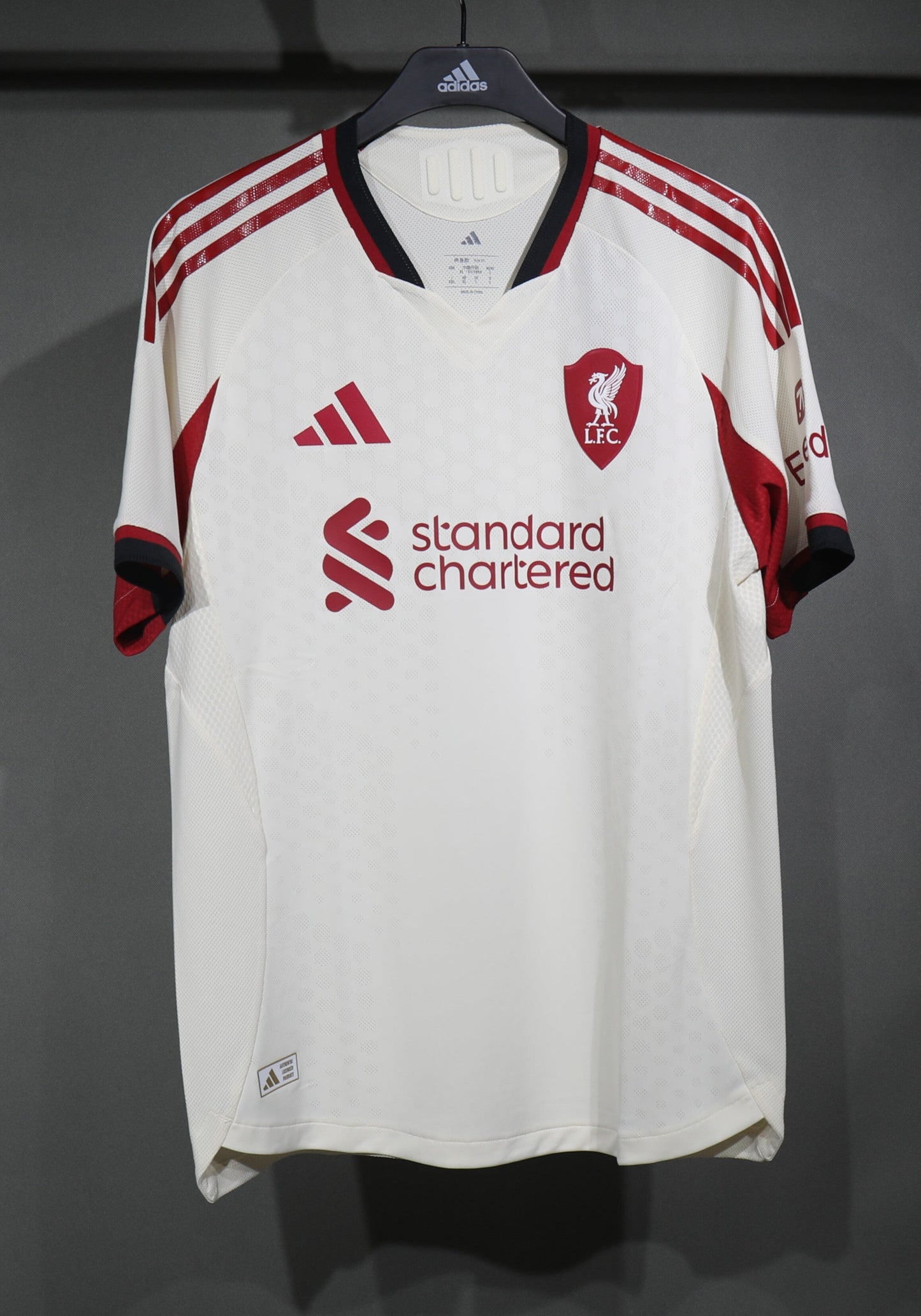 Liverpool 25/26 Jersey (Away)