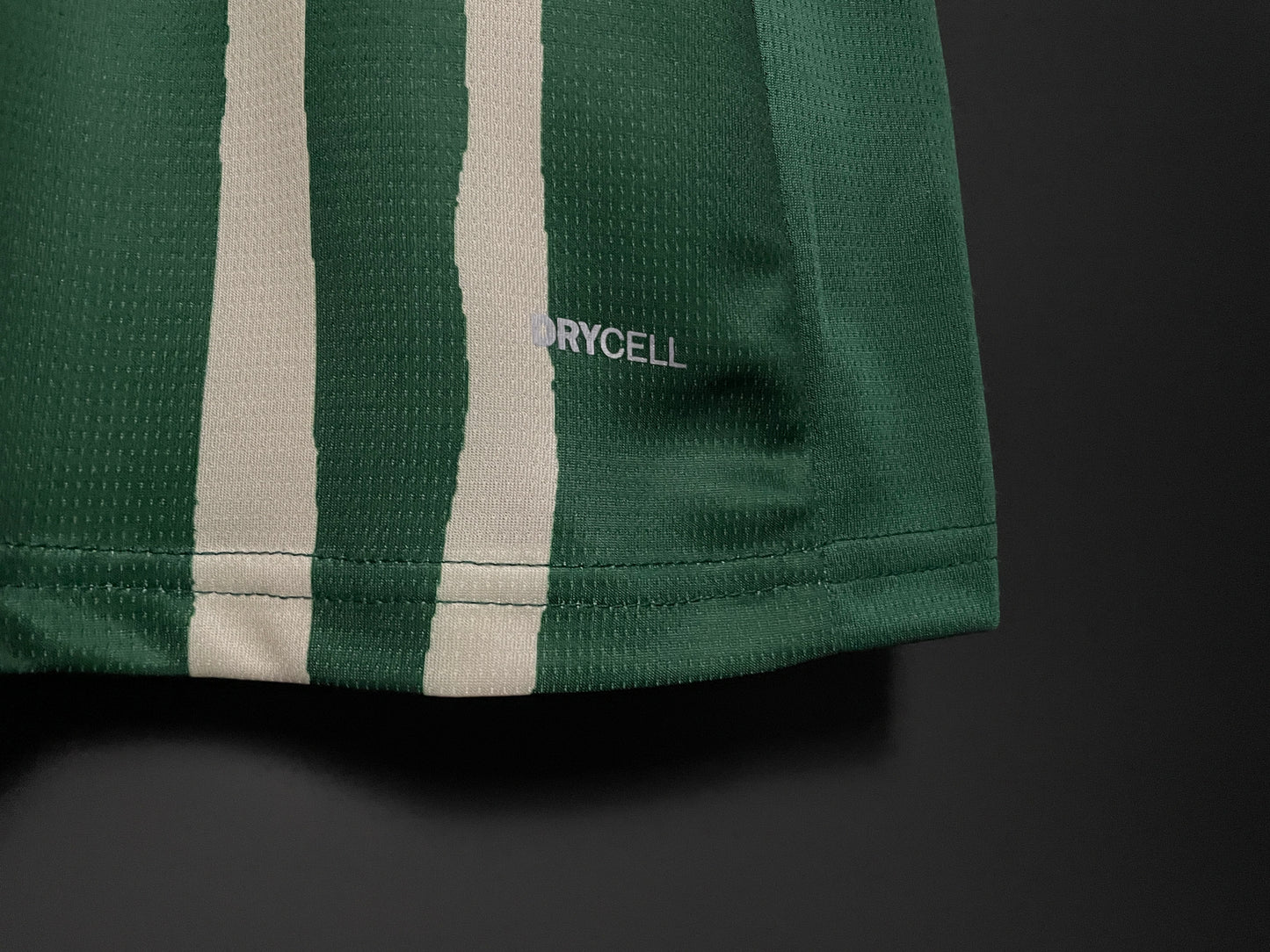Palmeiras 25/26 Jersey (Special Edition)