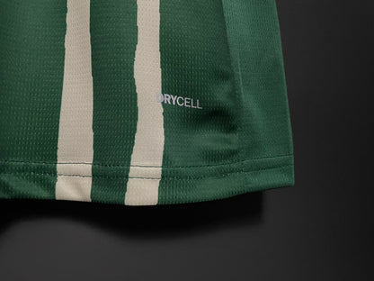 Palmeiras 25/26 Jersey (Special Edition)