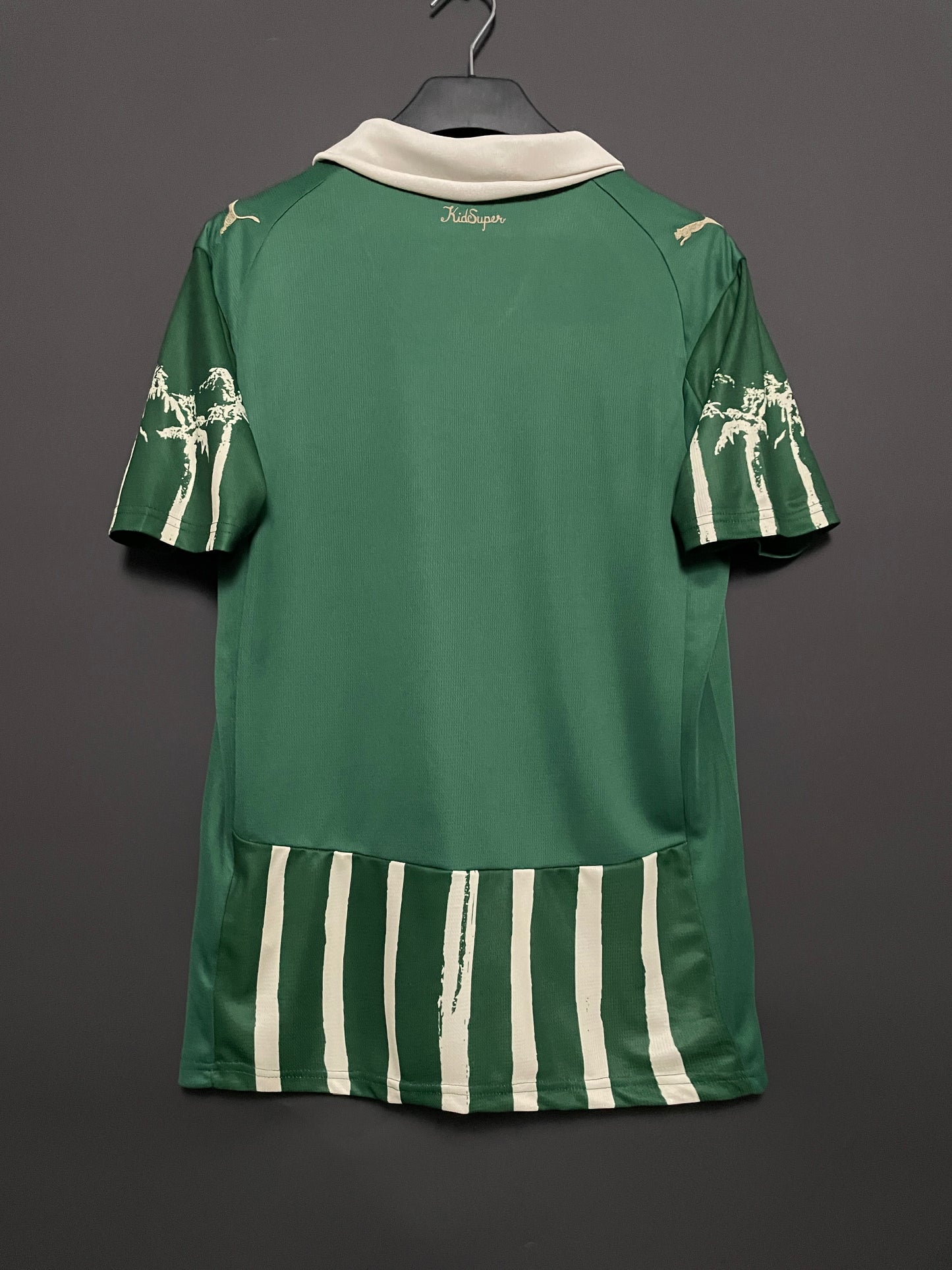 Palmeiras 25/26 Jersey (Special Edition)